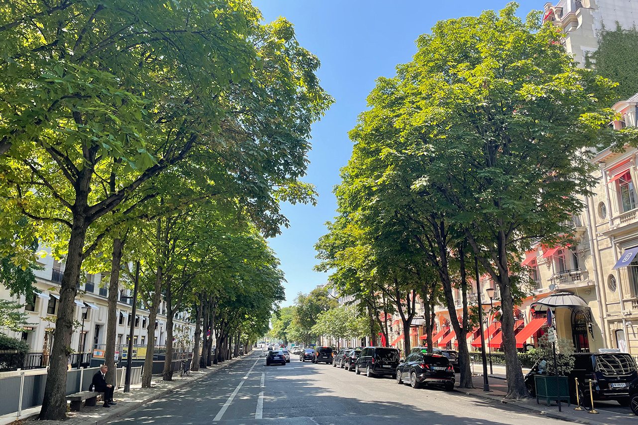 Avenue Montaigne, 8th arrondissement of Paris